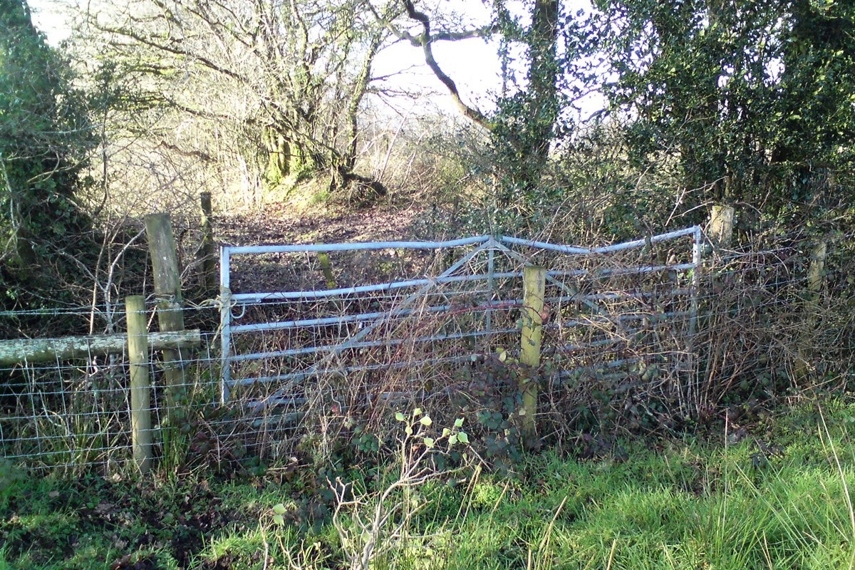 Blocked Carmarthenshire byway