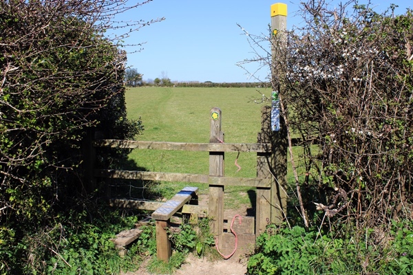 Devon footpath