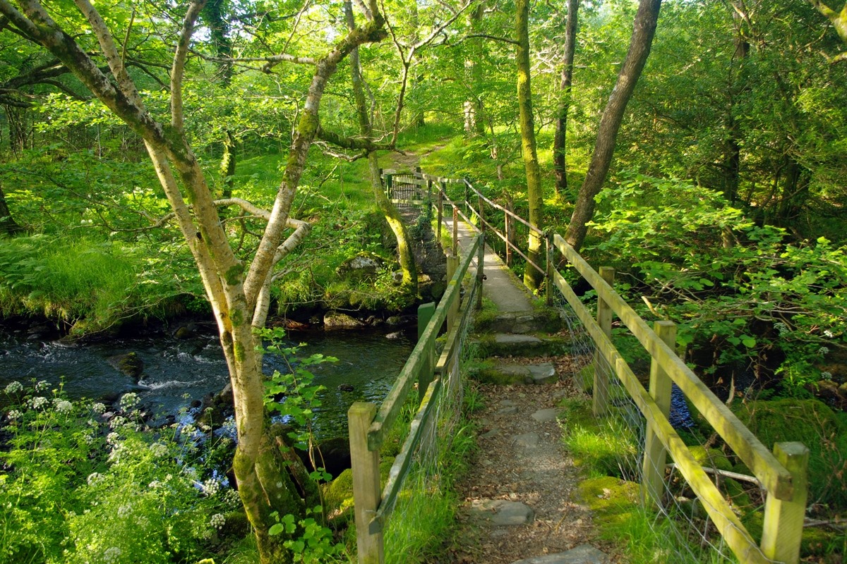 Footpath Bridge