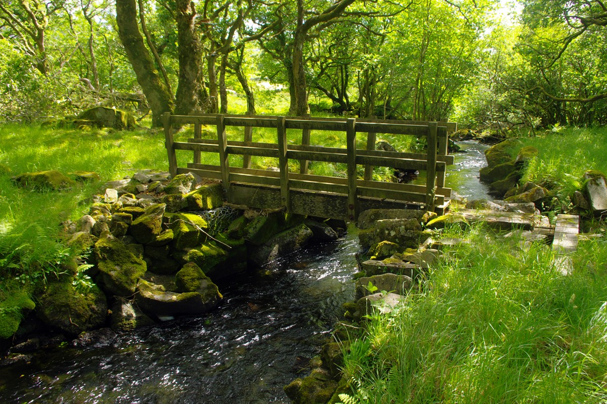 Footpath Bridge