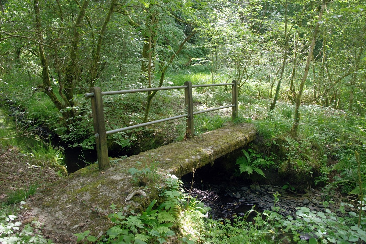 Footpath Bridge