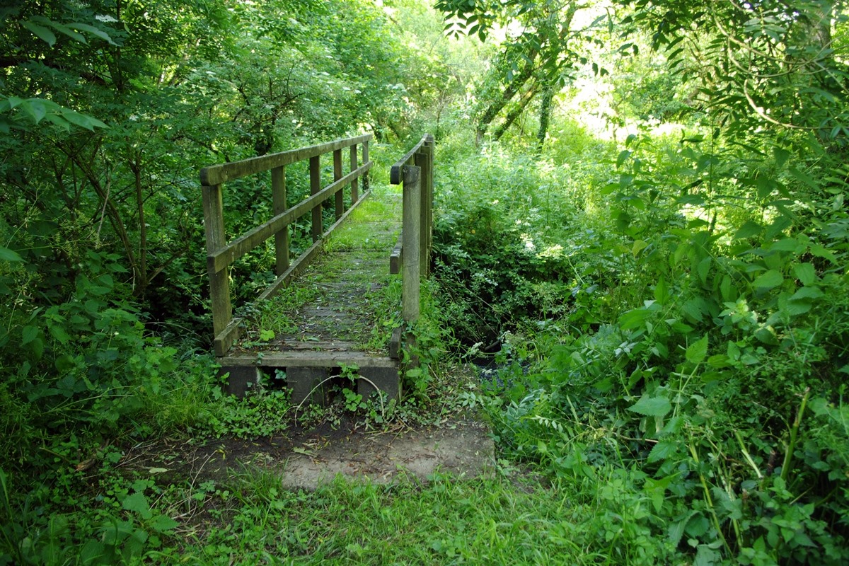 Footpath Bridge