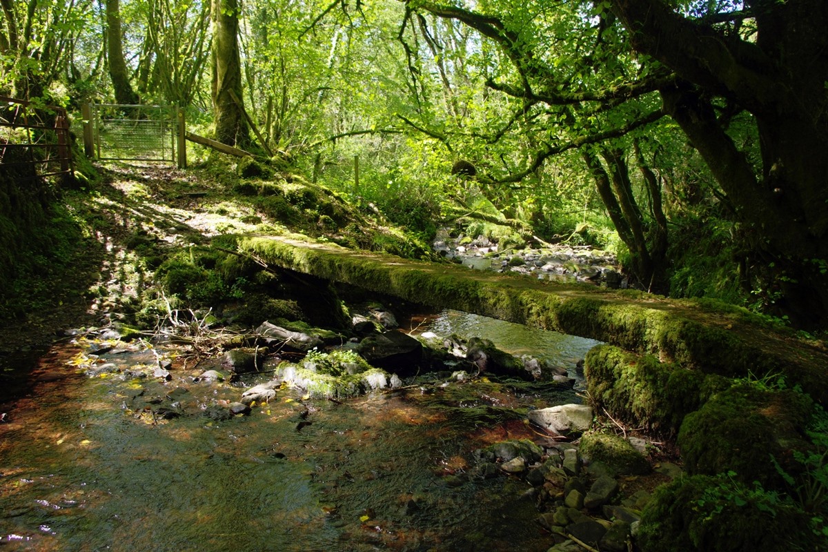 Footpath Bridge