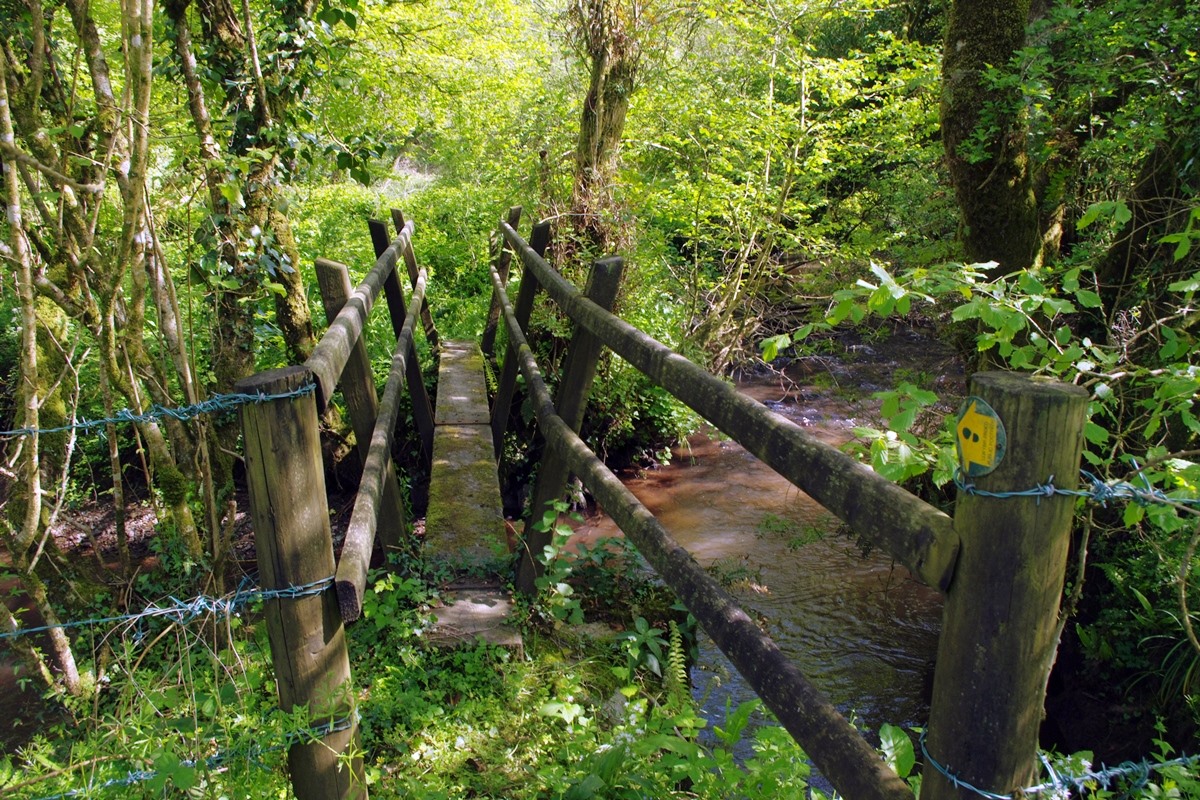 Footpath Bridge