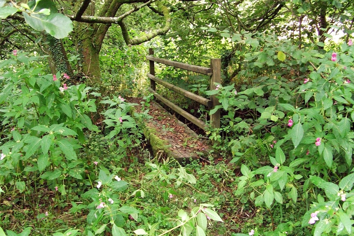 Footpath Bridge