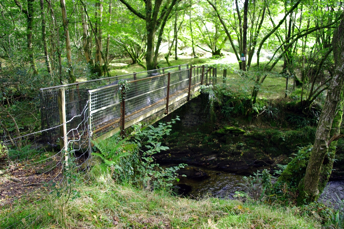 Footpath Bridge