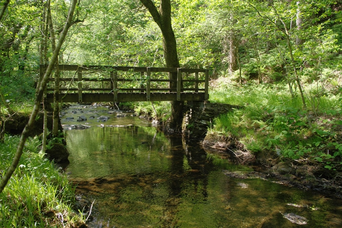 Footpath Bridge