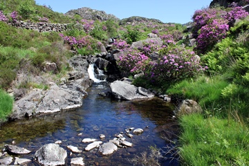 Afon Llynedno