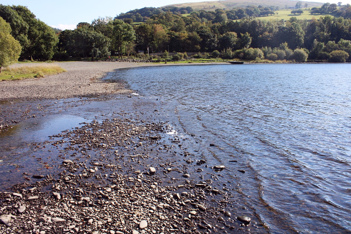 Llangower end, towards Foel Figenau