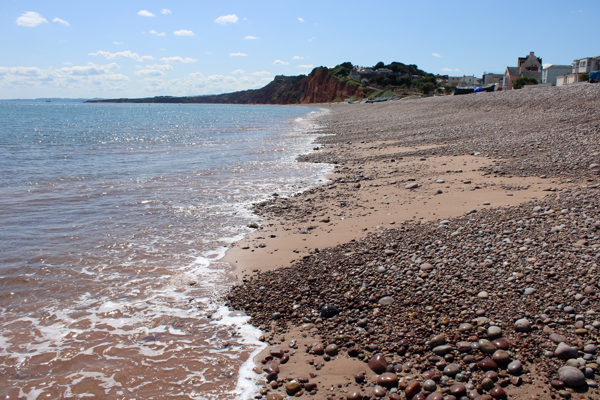 At the tideline