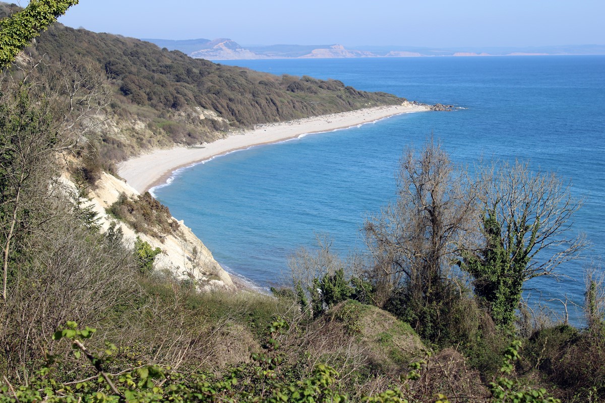 Charton Bay from the coast path