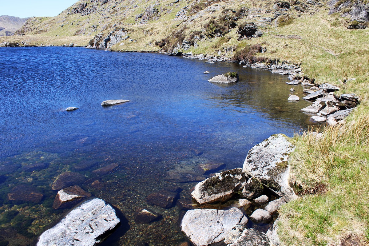 Shore of Llyn Dyrnogydd