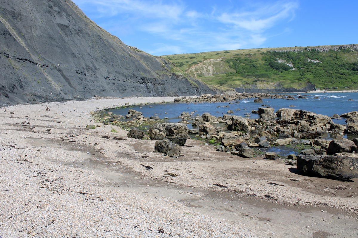 Between Egmont Bight & Chapman's Pool