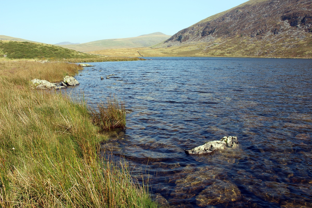 Llyn Irddyn from near the southern end