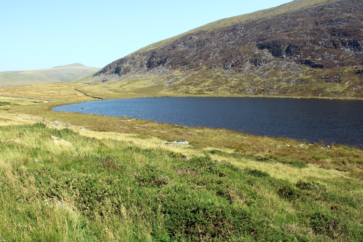 Northern end of Llyn Irddyn