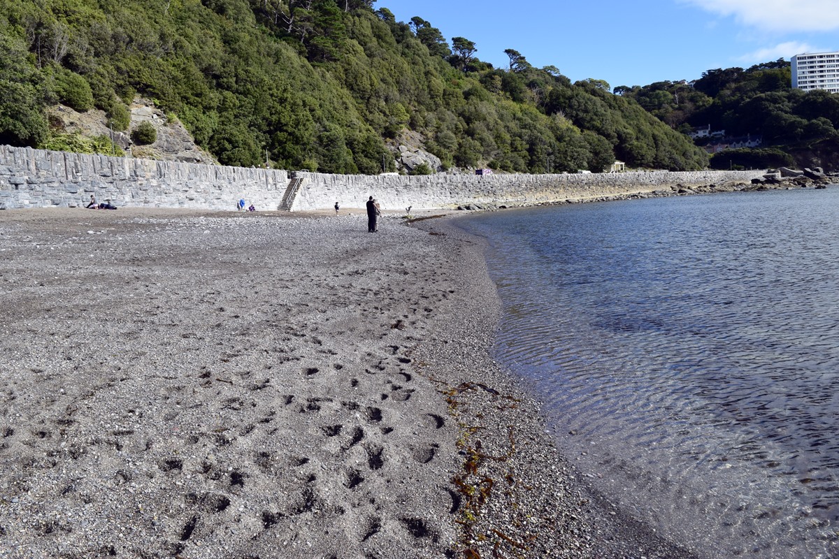 Tideline at Meadfoot Beach