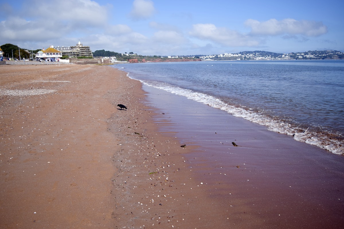 Paignton Sands