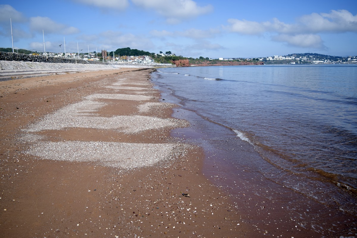 Tideline at Preston sands