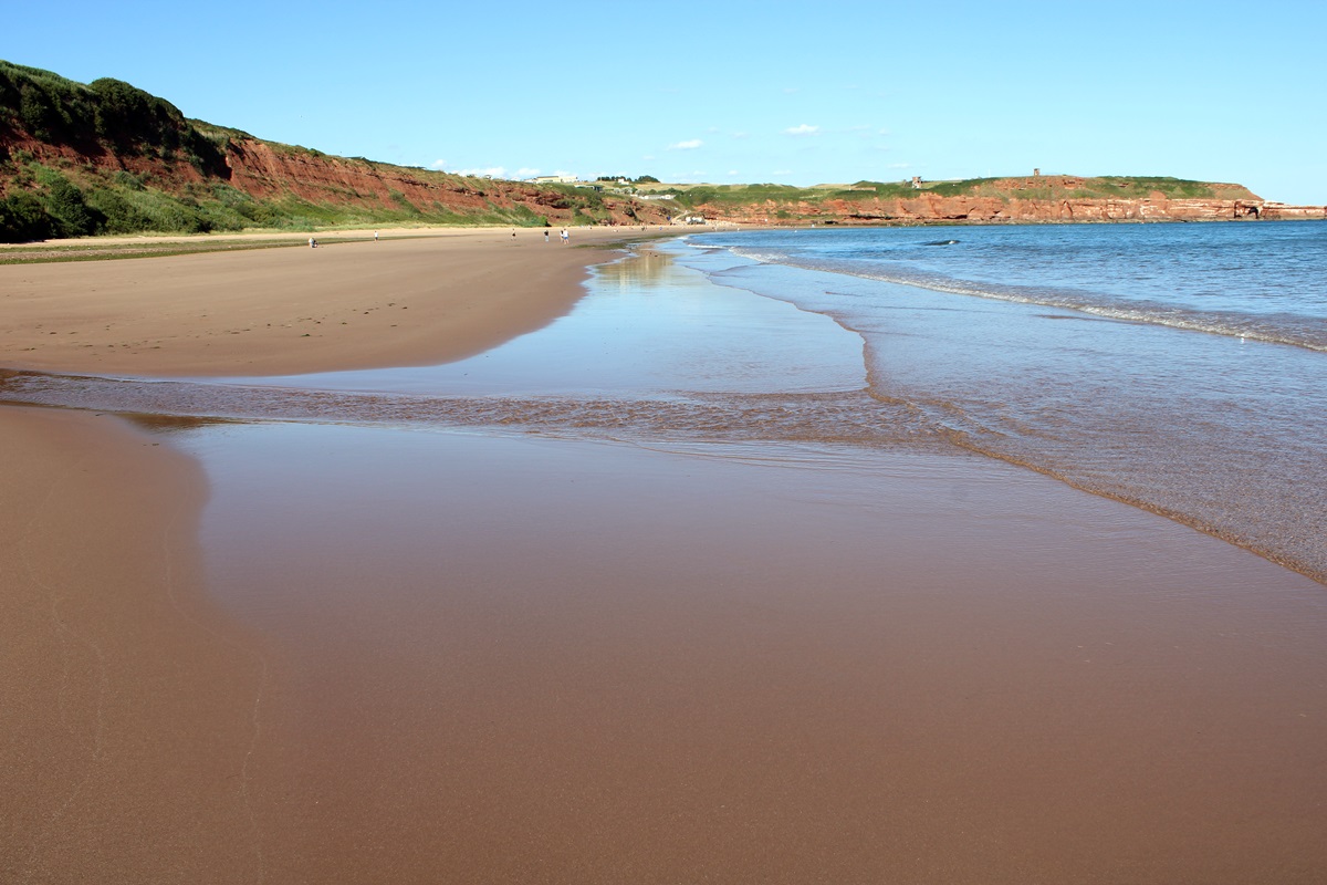 Looking east at the tideline