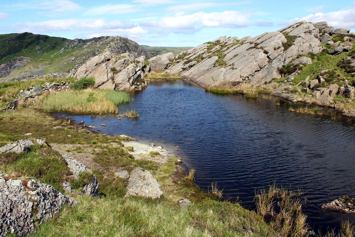 Llyn y Wrysgan