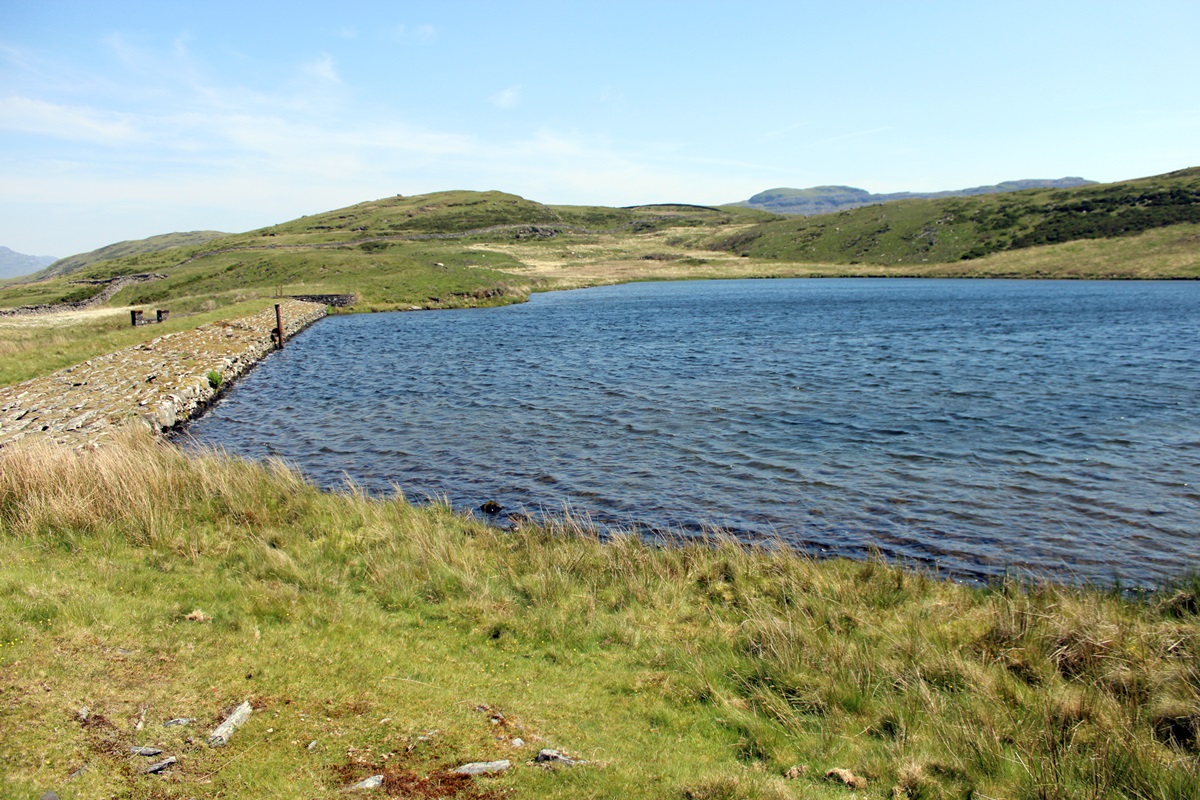 Llyn y Fedw