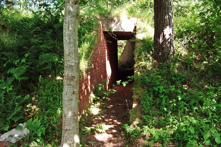 Bunker in the Woods