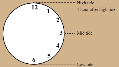 tide clock