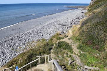 Cockington Cliff