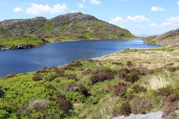 Gloyw Llyn