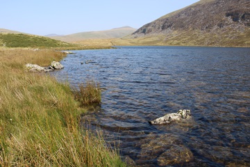 Llyn Irddyn