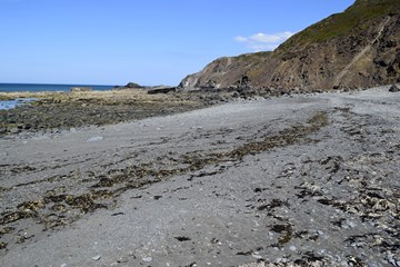 Marsland Mouth