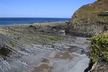 Welcombe Mouth